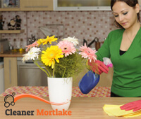 domestic_cleaning1