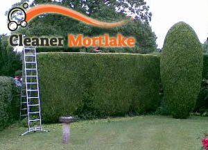 Hedge Maintenance SW14