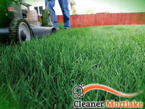 grass-cutting-services-mortlake