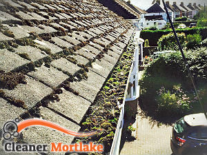 gutter-cleaning-mortlake